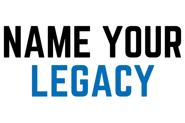 Impact Statement (2)