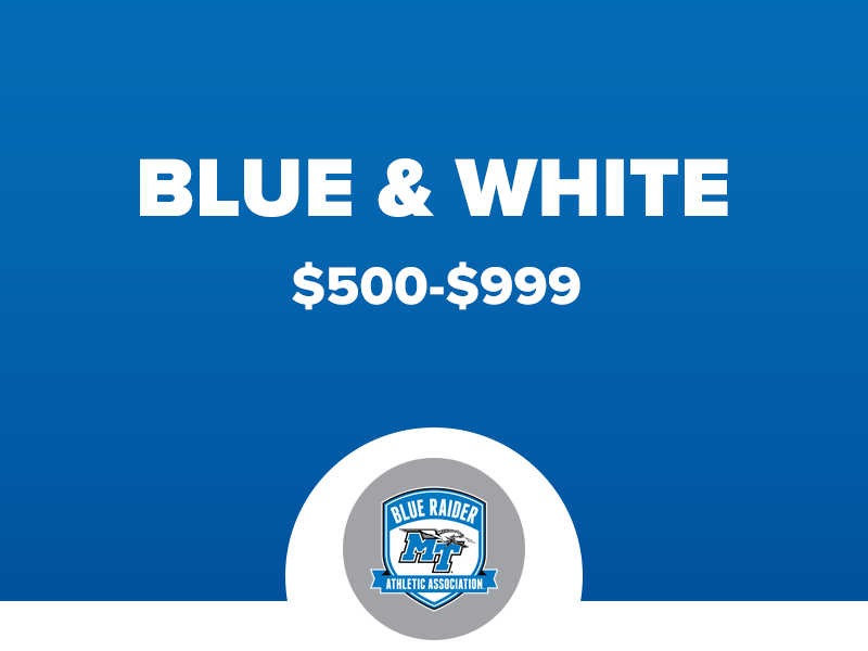 Blue&WhiteLevel_26
