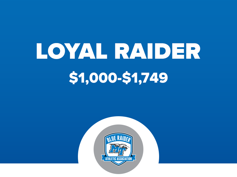 LoyalRaiderLevel_26