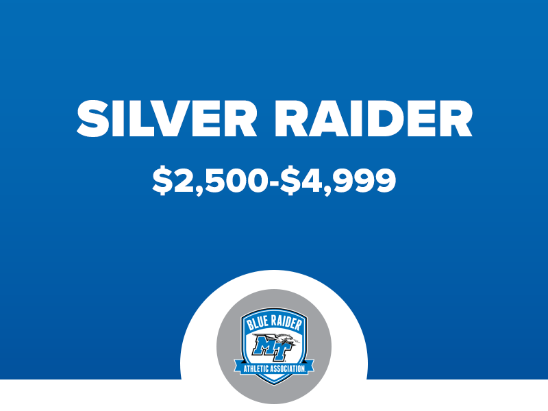 SilverRaiderLevel_26