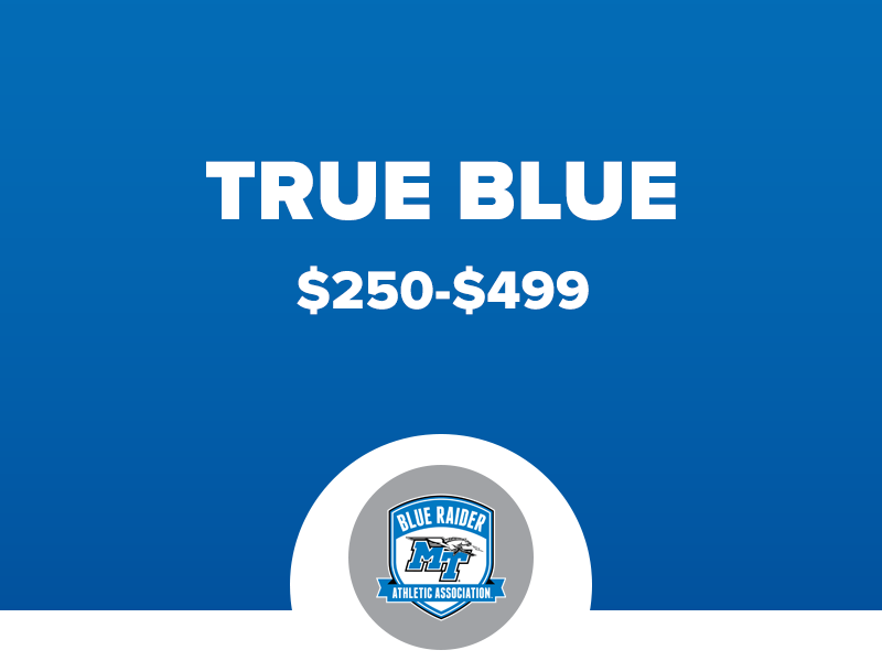 TrueBlueLevel_26